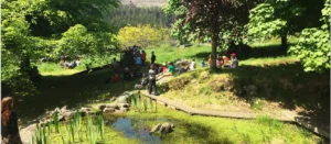 Pine Forest Art Centre