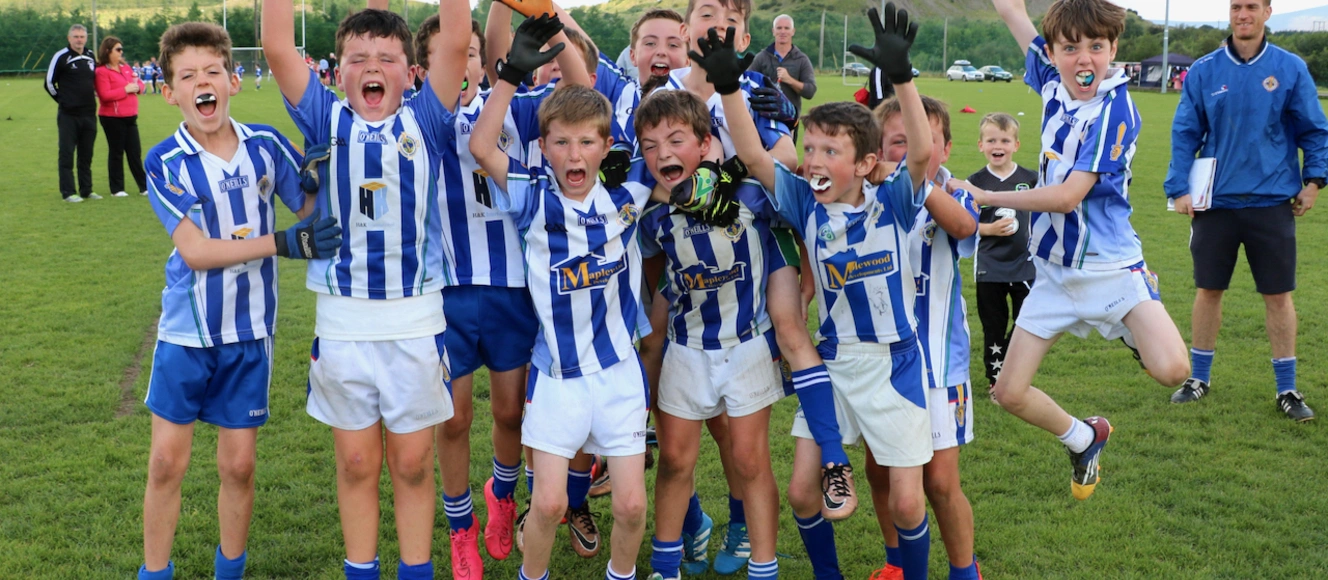 Ballyboden St. Enda’s GAA